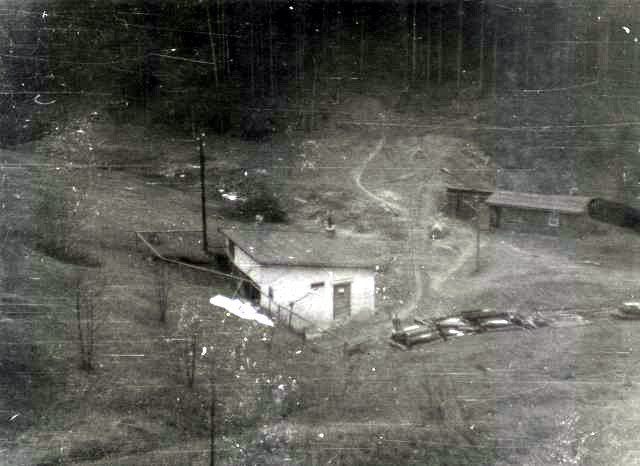 tola Havrna (1941)