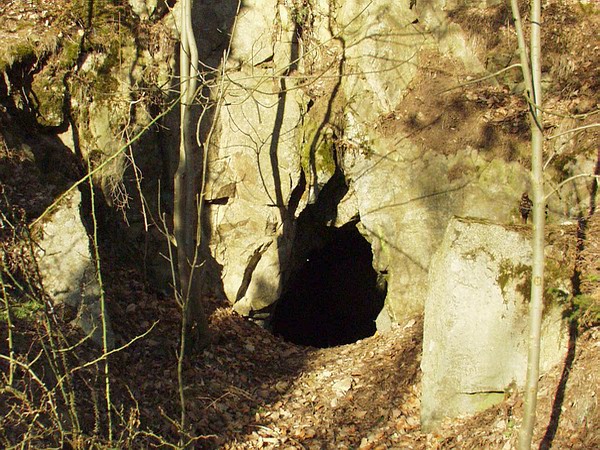 Ddin tola sv. Frantika - portl