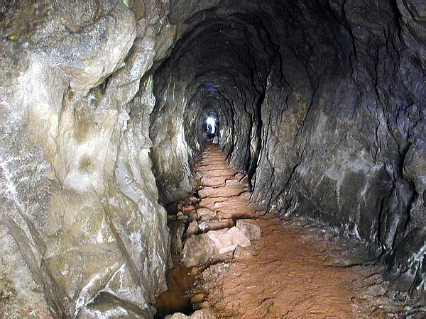Ddin tola sv. Frantika